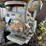 #1599-•-morbark-chip-pac-750-chipper-image-7