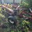 ih-720-–-5-bottom-20”-semi-mount-plow,-auto-reset,-all-wear-parts-are-good,-missing-one-coulter,-use-image-10