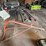 ford-8n-image-4