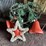 #2821-•-(15)-piece-christmas-decoration-set-image-3