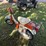 1980-suzuki-50cc-motorbike/moped-for-restoration,-does-not-run,-*no-title-image-5