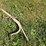hay-saw-and-2-bale-hooks-image-2
