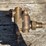no.-5-us-injector-3/4"-image-2