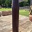 artillery-shell-image-2