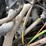2005-chevrolet-c8500-cab/chassis-(jn0785,-unit-98847)-image-81