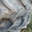 #29206-•-lot-of-(4)-18.4-38-tractor-tires-image-11