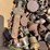 grease-cup-assortment-image-5