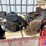 shopbuilt-8’-x-7’-t/a-bumper-pull-pressure-test-trailer-image-3