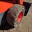 2019-kubota-ssv75-image-36