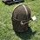 case-spark-arrestor-image-3
