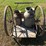 old-cream-can-cart-with-2-cream-cans-image-4