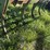 john-deere-746-image-8