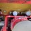#5020-•-2019-seppi-star-fc100-mulcher-image-19