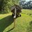 mirro-craft-boat,-motor-and-trailer,-65hp-evinrude-engine,-aluminum-boat,-has-been-stored-for-approx-image-8