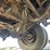 1973-great-dane-40-image-26