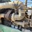 #1752-•-1979-peterbilt-day-cab-heavy-haul-image-41