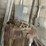 #118-•-quincy-air-compressor-image-11