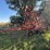 bourgault-8810-image-5