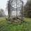 steel-corn-crib,-approx-15’-wide,-buyer-is-responsible-for-removal-image-3