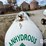 nh3-nurse-tank-(gp11428,-unit-107201,-tank-w10)-image-23