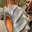 timberjack-450-image-12