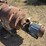 #2798-•-5hp-w/gear-reducer-image-2