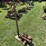 steam-engine-water-wagon-pump-image-2
