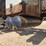 #1244-•-mack-gu813-day-cab-truck-tractor-image-12