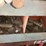#121-•-rack-and-assorted-contents-image-28