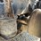1995-mack-dm690s-image-35