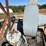 #1764-•-125hp-dust-collector-tower-image-12