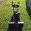 briggs-and-stratton-s1227-walk-behind-snow-blower,-electric-start,-self-propelled,-250cc-snow-series-image-4