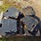 case-ih-7130-image-3