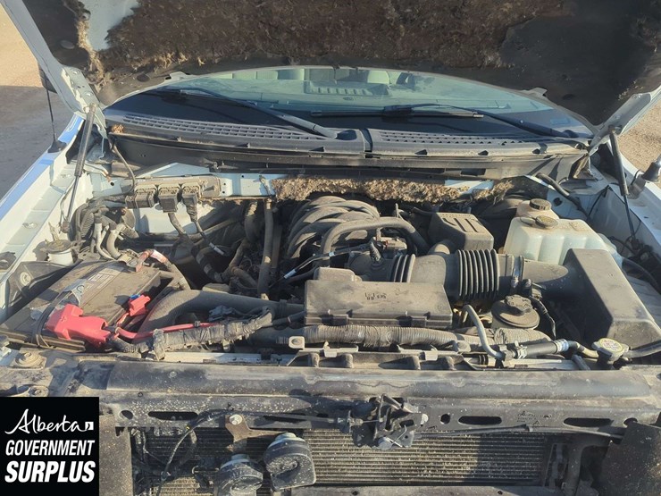 2010-ford-f150-image-26