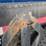 2000-kenworth-t800-image-42