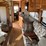 2005-gulf-stream-sun-voyager-motorhome-image-8