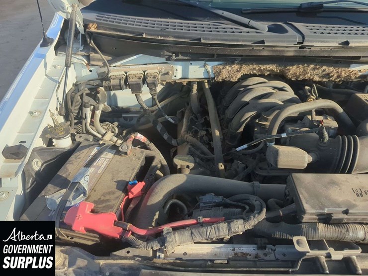 2010-ford-f150-image-27
