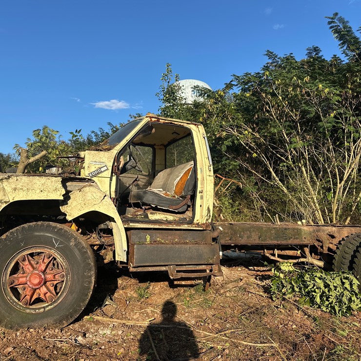 1983 FORD F800