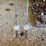 lighting-rods-and-american-flag-painted-on-old-window-image-2