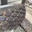 #3101-•-lawn-mower-tires-(o3)-image-5