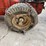 #3100-•-ariens-snowblower-(o3)-image-9