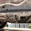 2018-ford-f150-image-29
