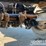 2018-king-kutter-spread-axle-chassis-trailer,-65,000lb-gvwr-image-22