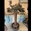 #81-•-6"-carbine-grinder-image-1