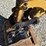 2013-caterpillar-305.5d-cr-image-51