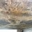 #3036-•-(1)-steel-sheet-stock-(shed)-image-7