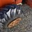 ditch-witch-r65-image-21