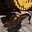 2020-caterpillar-d6n-lgp-image-60