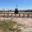 animal-pen-for-stock-show-4'-x-6'-(8-of)-image-5