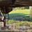 monon-van-trailer-image-19